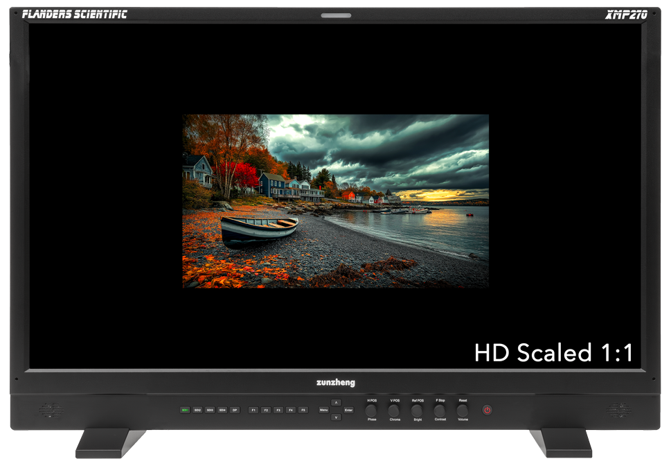 XMP310 bicubic HD scaled